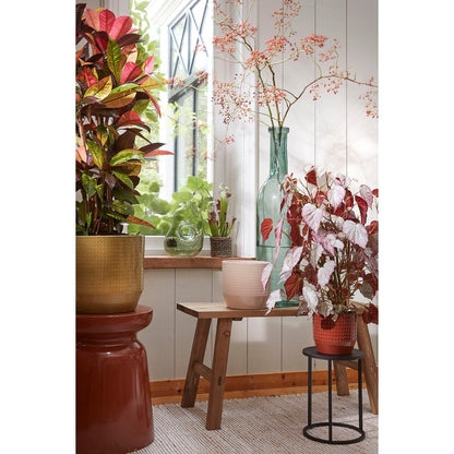 Duurzame Rioja Flesvaas 75cm | 100% Gerecycled Glas Transparant