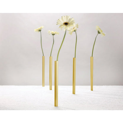 Zwevende Vazen Collectie - Magnetische Wondervazen Set van 5