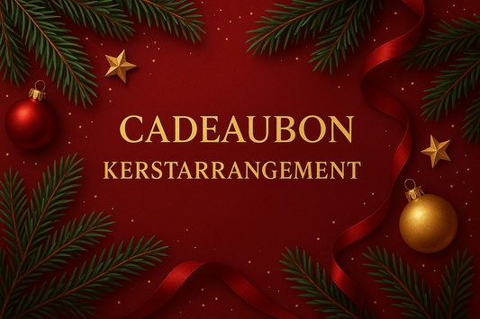Cadeaubon Kerstarrangement - Bart kookt